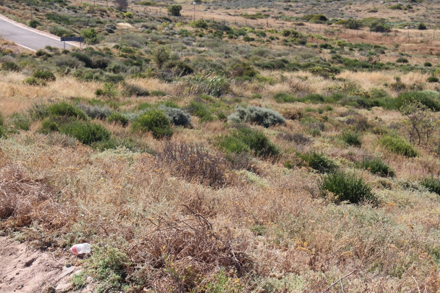 0 Bedroom Property for Sale in Steenbergs Cove Western Cape